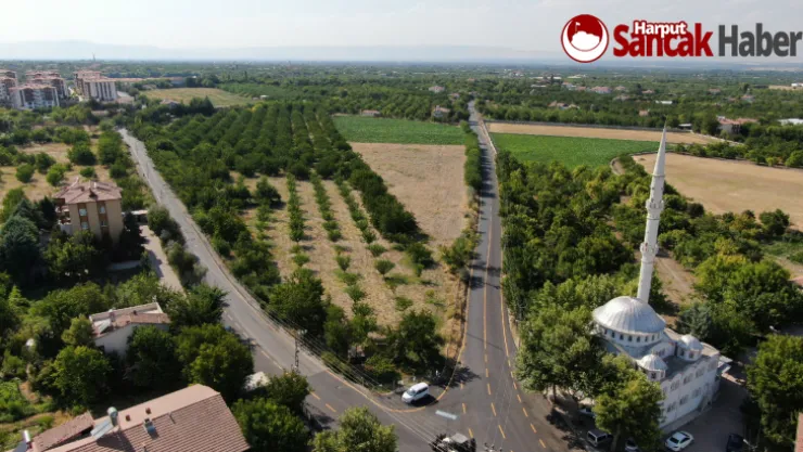 Kemerköprü-Alişar ve Mahmutlu Grup Yolu Asfaltlanıyor
