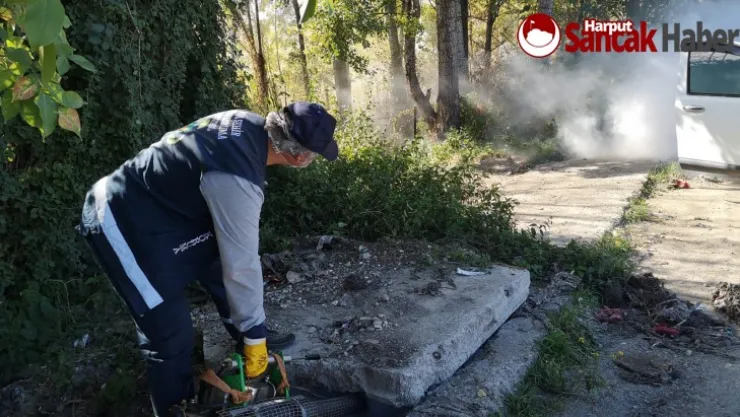 Kışlak Alanlarda İlaçlama Çalışmaları Devam Ediyor