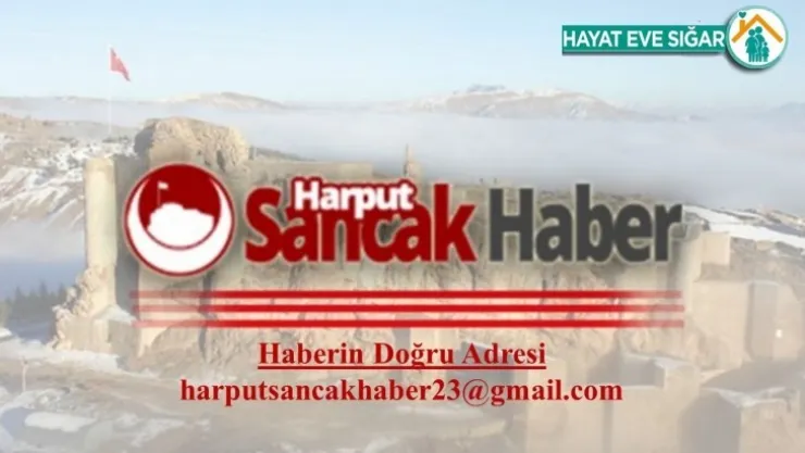 Lgs'de matematik belirleyici oldu