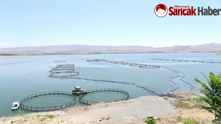 Malatya'da Tarıma Dayalı Su Ürünleri Yetiştiriciliği OSB kuruluyor