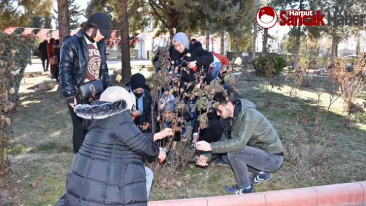 Malatya Kent Konseyigençlerinden Şehitlere Vefa 