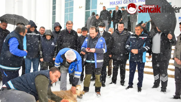 MASKİ, Şükür Kurbanı Kesti