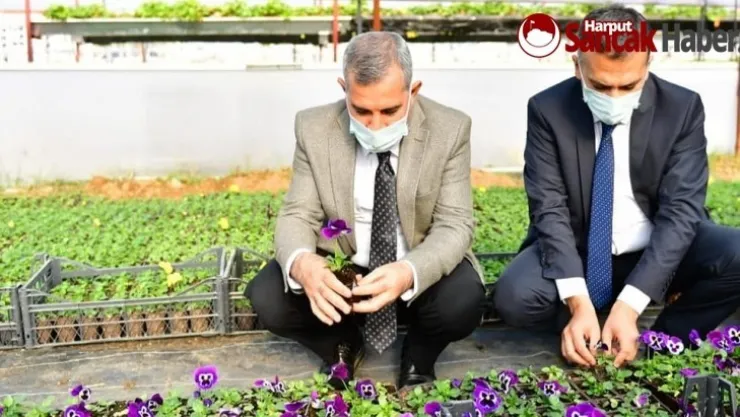 Mevsimlik Çiçeklerimizle Daha Prestijli Olacak