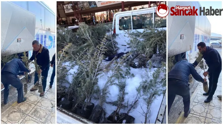 MHP Malatya İl Başkanlığından Devlet Bahçeli Hatıra Ormanı'na Fidan Desteği