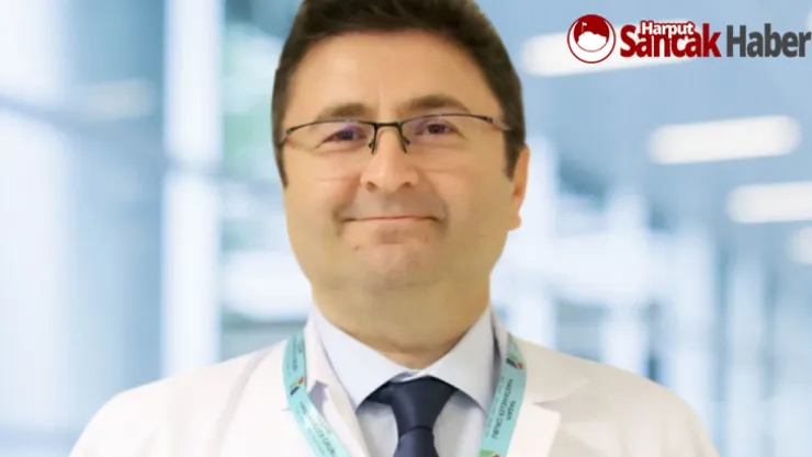 Miyomlar Hamile Kalmayı Ve Hamilelik Sürecini Etkileyebilir mi?