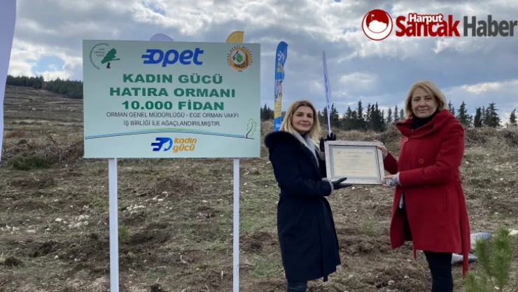 OPET'ten Kadın Gücü Ormanları