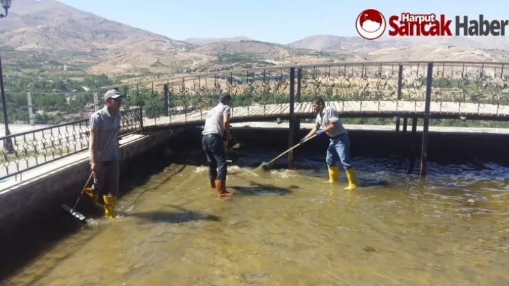 Parklarımızın Temizliği ve Bakımına Büyük Bir Özen Gösteriyoruz
