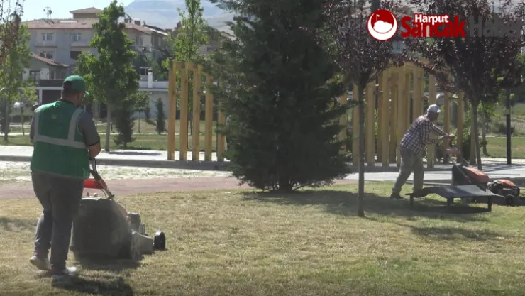 Parkların Bakım ve Onarımları Aralıksız Sürdürülüyor