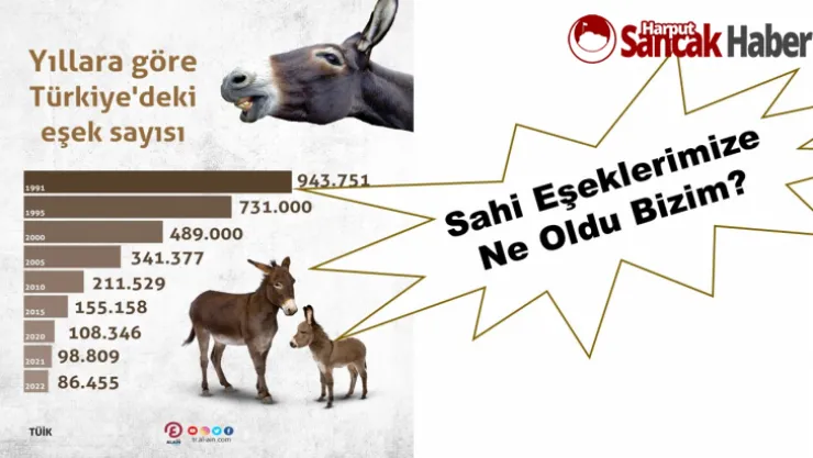 Sahi Eşeklerimize Ne Oldu Bizim?