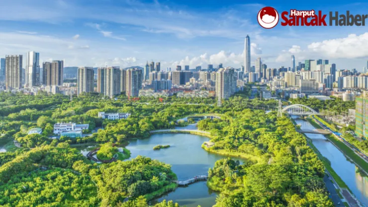 Shenzhen'de Bahar Festivali İçin 150'den Fazla Kültürel Etkinlik
