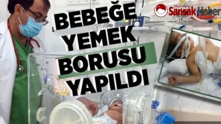 Sihirli Eller Hayat Kurtarıyor