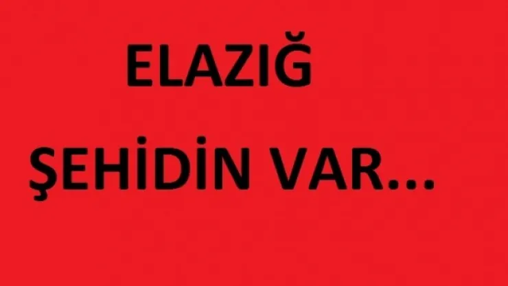 ŞIRNAK'TA 4 POLİSİMİZ ŞEHİT OLMUŞTUR...