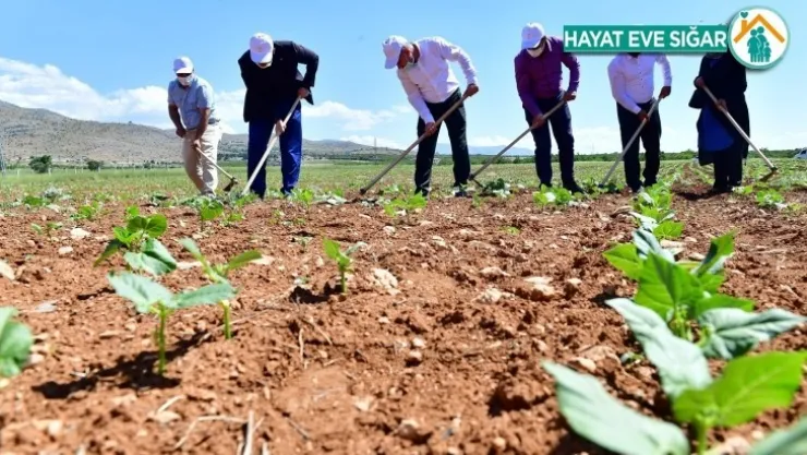 Tarımsal Projelerimizle Belediyeciliğe Farklı Bir Bakış Açısı Kazandırıyoruz