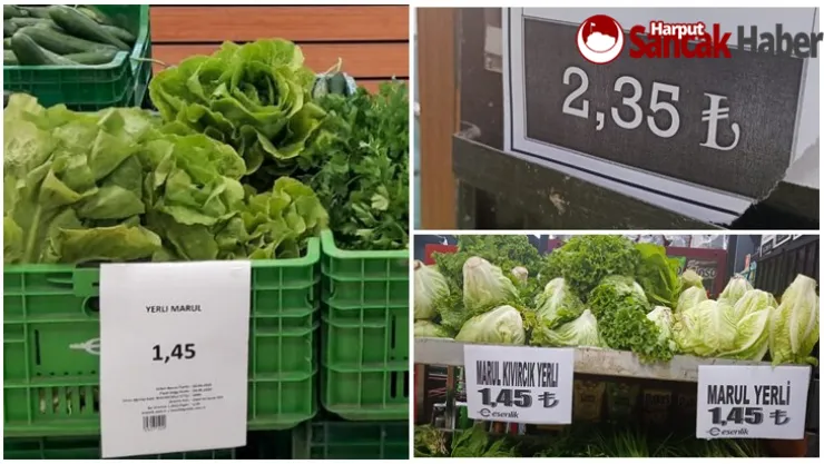 Tarladan Sofraya Maydanozdan Ucuza