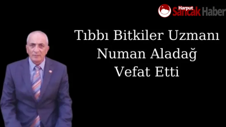 Tıbbı Bitkiler Uzmanı Numan Aladağ Vefat Etti