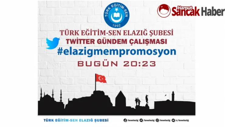 Türk Eğitim Sen Elazığ Şubesi'nden Promosyona Tepti Etkinliği