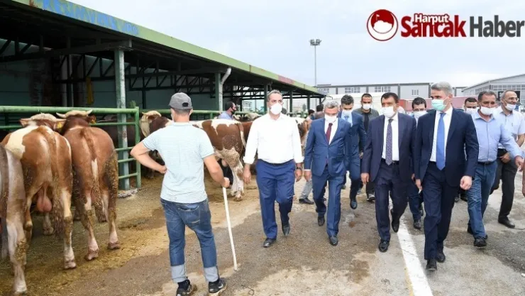 Vali Baruş ile Başkan Gürkan Hayvan Pazarında incelemelerde bulundular