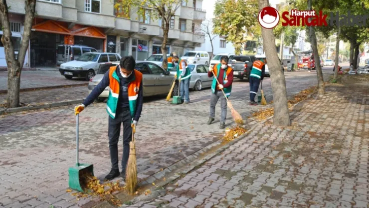Yeni Mahalle'de Sonbahar Temizliği