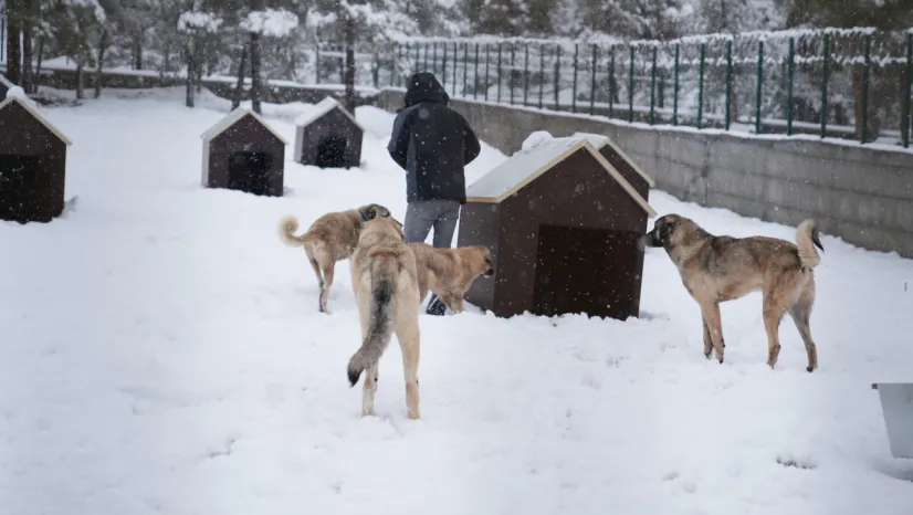Battalgazi'de Malatya'nın İkinci Hayvan Barınağı Hizmete Başladı