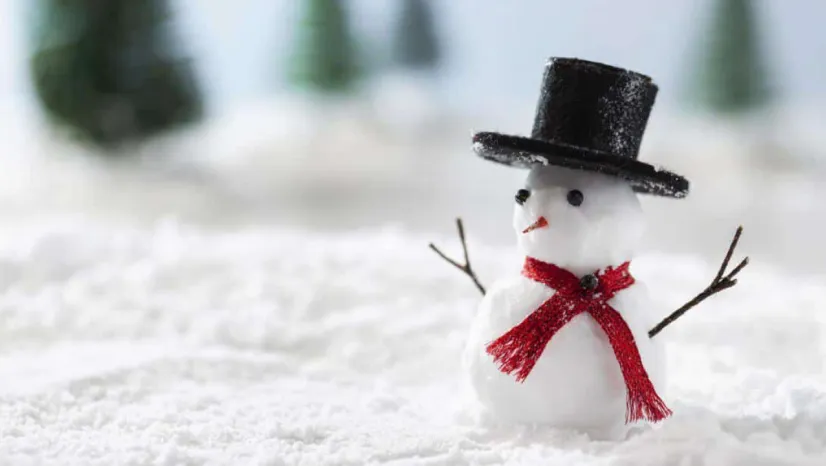 Komşu ilde okullar 1 gün tatil edildi!