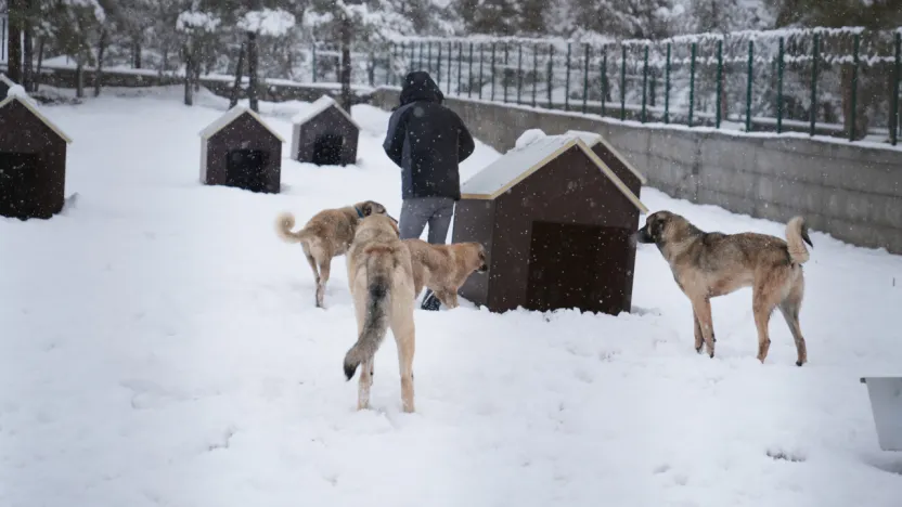 Battalgazi'de Malatya'nın İkinci Hayvan Barınağı Hizmete Başladı