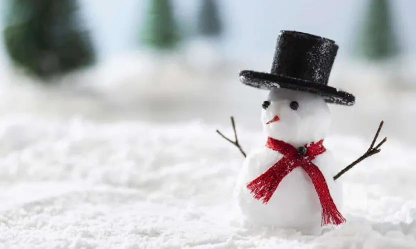 Komşu ilde okullar 1 gün tatil edildi!