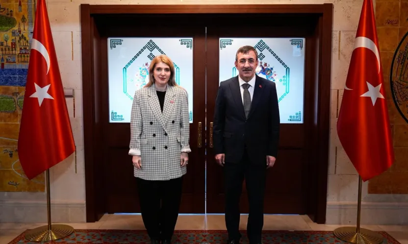 Ölmeztoprak, Malatya'nın Tüm Dinamiklerini Cumhurbaşkanı Yardımcısı Yılmaz İle Görüştü